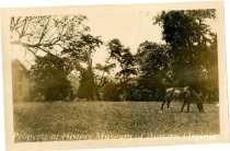 Grazing at "Flat Creek"