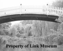 Y6 Appearing In The Gap In The Trees