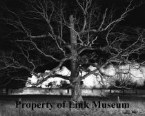 Train No. 42, The Pelican, Moving East Near Max Meadows