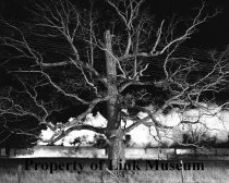 Train No. 42, The Pelican Moving East At Max Meadows