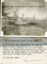 Beverly Manor survey line