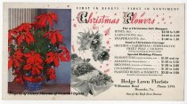 Hedge Lawn Florists' Christmas Ad