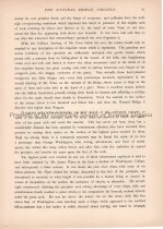 Engravings from Picturesque America