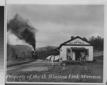 Old Maude Bows To The Virginia Creeper, Green Cove, Virginia