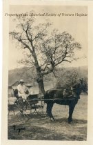 Sue, Miss Fraxel, Pedra - 7yrs