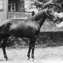 Charles S. Bucher with horse, circa 1915