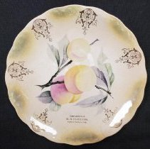 Advertising plate, M. S. Clemens, Harleysville, PA