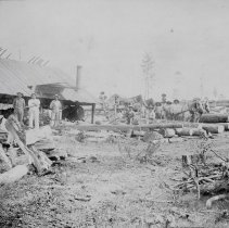Daniel P. Young's Saw Mill, 1893