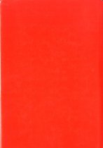 The First of Many :The Story of a Pioneering Chinese Family Who Lived in TX