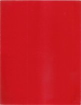 The Chinese of Greenville, Mississippi. Back Cover