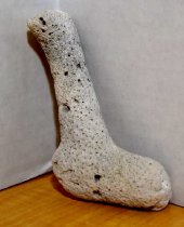 A Piece of White Coral