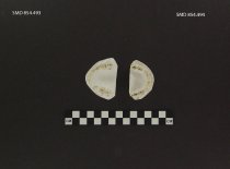 Mold, Dental Casting