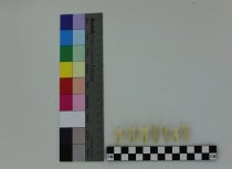 Columbia Dentoform Corporation teeth models