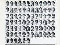 1981 School of Dentistry junior class composite photo page 2