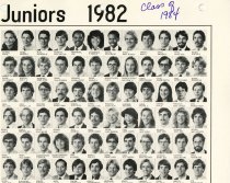 1982 School of Dentistry juniors composite photo page 1