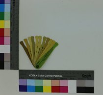 Premier Dental Product Co. plastic shade guide