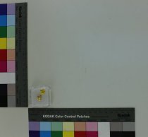 Cross single-tooth grill