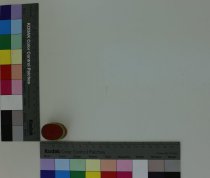 M. Gendre French toothfairy box