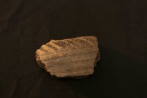 Small fragment of a clay pottery with a textured pattern