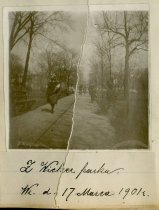 Wicker Park, March 1901