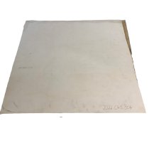 Jadwiga Karlowicz Potrait