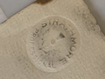 Jadwiga Karlowicz Portrait II