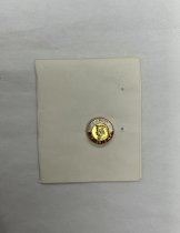 Tow. T. Kosciuszki Gr. 198 Pin