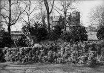 Compton Mansion and  Rock Wall in Rose Garden  1937