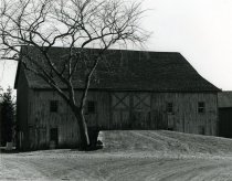 Barn at Bloomfield Farm