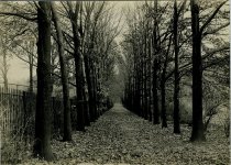 Oak Avenue   Winter of 1936
