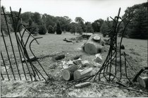 After the Tornado Near the Magnolia Slope  1991