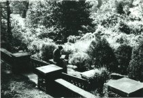 Woman Reading at Orange Balustrade