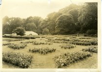 View of Rose Garden Toward Fernery