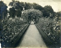Formal Flower Garden with Arbor   ca 1918-1920