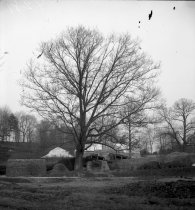 Construction Below Greenhouse Range
