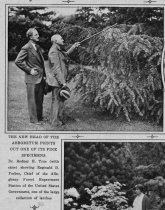 Newspaper Clippings: Spring Comes to the Morris Arboretum  1933