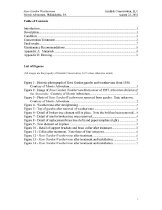 Rose Garden Weathervane  2011