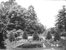 Princeton, NJ: Trees & Gardens of Allan Marquant  1928