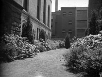 Effingham B. Morris House and Garden  1920