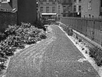 Effingham B. Morris House and Garden  1920