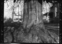 Big Beech, Glenolden, PA  1923
