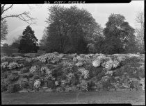 Rock Wall Garden  1937