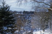 Wyncliff at Sugar Loaf in Winter  1956