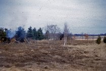 Bloomfield Nursery Plot #3 after Bulldozing  1955