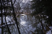 Along Woods Trail in Winter 1956