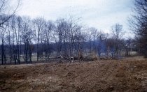 Forestry Nursery after Bulldozing  1955