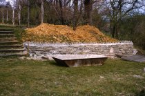 Phlox Rock Garden  1962