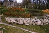 Phlox Rock Garden  1962