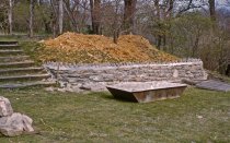 Phlox Rock Garden  1962