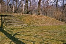 Phlox Rock Garden  1962